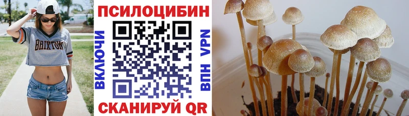 Купить где  Иннополис  Галлюциногенные грибы ЛСД 